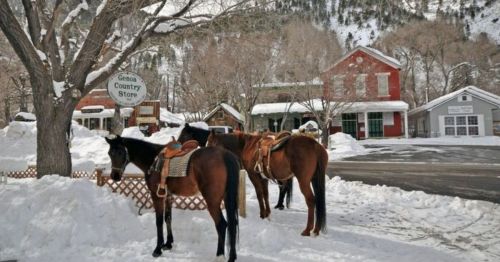 Two saddled horses stand near a snow-covered street with a sign for the Genoa Country Store in the background.