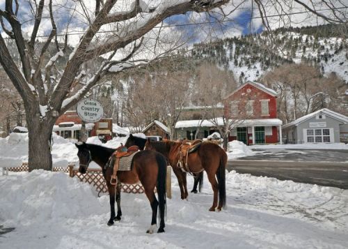 Two saddled horses stand near a snow-covered street, with a sign for the Geneva Country Store and rustic buildings in the background.