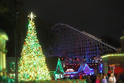 A brightly lit Christmas tree in a festive park, with a roller coaster and colorful lights in the background at night.