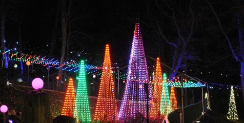 Colorful illuminated trees and lights create a festive atmosphere at night in a park.