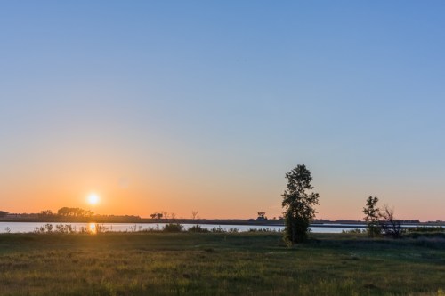 Sunset over a calm lake, with silhouettes of trees and a grassy foreground under a clear blue sky.