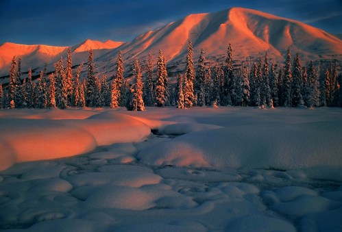 Snow-covered landscape at sunset, with mountains in the background and trees illuminated in warm hues.