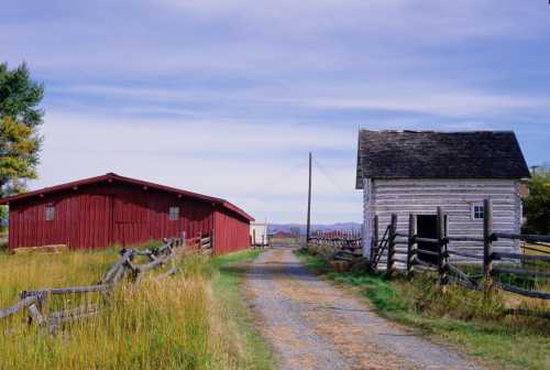 A gravel path leads between a red barn and a small white farmhouse, surrounded by fields and a clear blue sky.