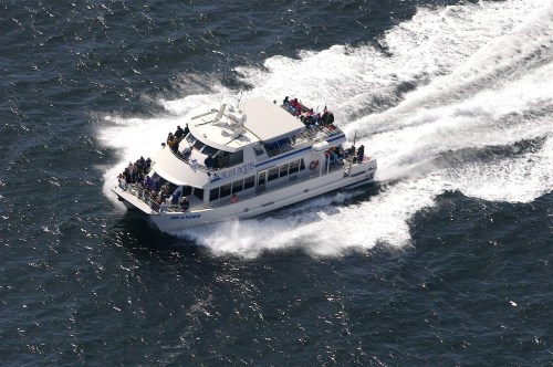 A white boat with passengers speeds across blue water, leaving a wake behind it.