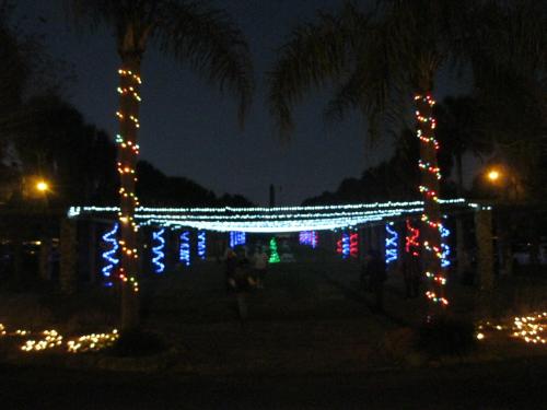 A festive display of colorful lights strung between palm trees at night, creating a cheerful holiday atmosphere.