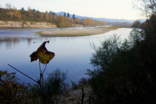 A serene river scene with autumn foliage, reflecting trees and mountains in the background under a clear sky.