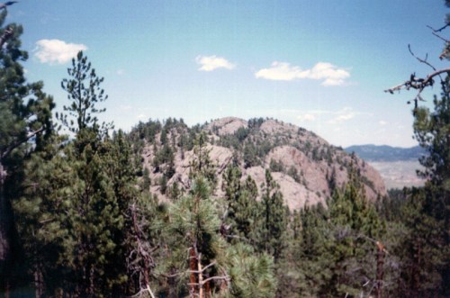 A scenic view of a rocky hill surrounded by tall pine trees under a clear blue sky.