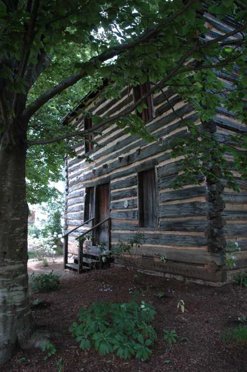 A rustic log cabin surrounded by trees and greenery, featuring wooden steps and windows.