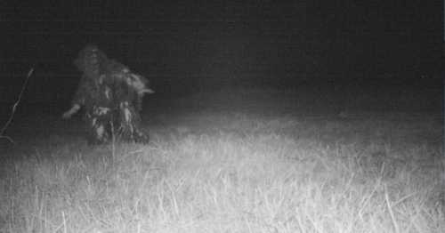 A dark, blurry figure stands in a grassy field at night, partially obscured by shadows.