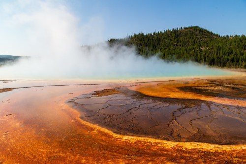 A colorful geothermal pool with steam rising, surrounded by trees and a clear blue sky in Yellowstone National Park.
