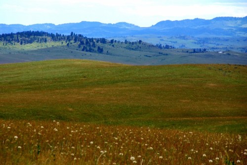 A scenic landscape featuring rolling green hills and distant mountains under a blue sky. Wildflowers dot the foreground.
