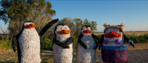 Four straw penguin figures with colorful beaks and accessories, standing in a grassy area under a clear blue sky.