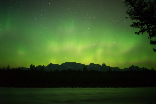 alt