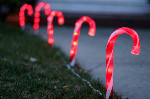 A row of illuminated candy cane decorations on a grassy path, creating a festive holiday atmosphere.