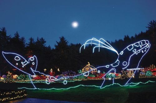 A festive display of illuminated whales against a night sky, with a full moon and colorful holiday lights in the background.
