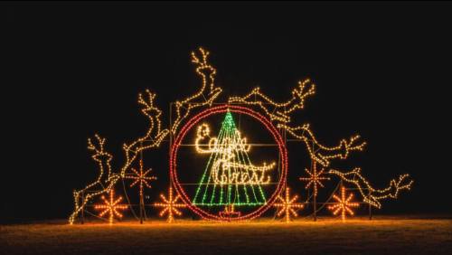 Colorful holiday light display featuring a Christmas tree and festive decorations against a dark background.