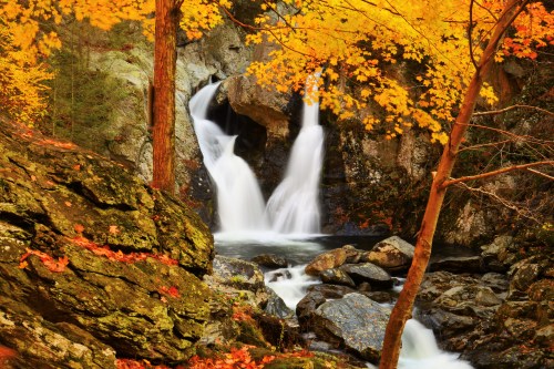 A serene waterfall cascades over rocks, surrounded by vibrant autumn foliage in shades of orange and yellow.