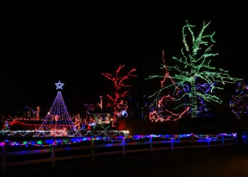 A festive display of colorful Christmas lights, featuring a star-topped tree and illuminated trees in vibrant colors.