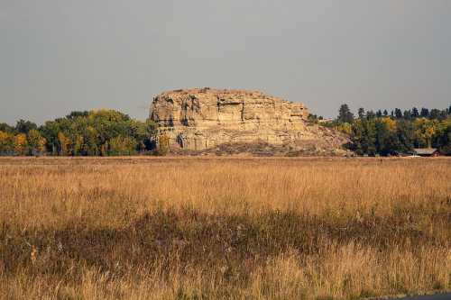 A rocky outcrop rises above a golden grassland, surrounded by trees in the background under a clear sky.