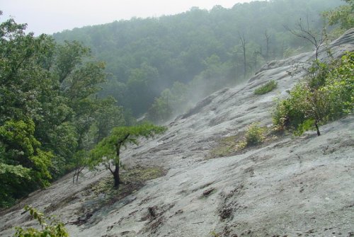 A misty landscape featuring a rocky slope with sparse vegetation and trees, surrounded by lush green hills.