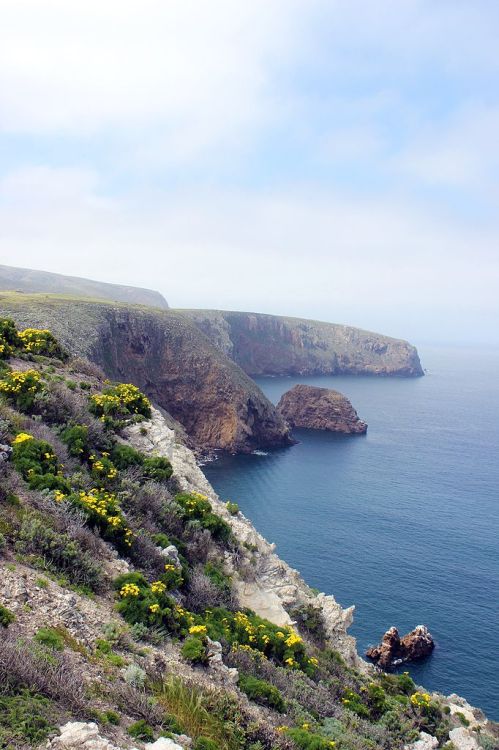 A scenic coastal view with cliffs, lush greenery, and rocky outcrops along a calm blue sea under a cloudy sky.