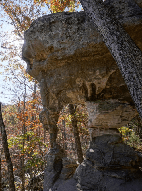 A large rock formation resembling an arch, surrounded by trees with autumn foliage. Sunlight filters through the branches.