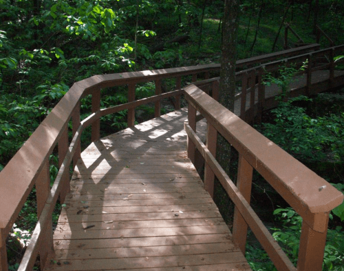 A wooden bridge winding through a lush green forest, with sunlight filtering through the trees.