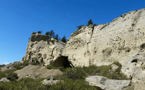 A rocky cliff with a clear blue sky, featuring small caves and sparse vegetation at its base.