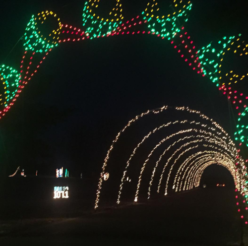 A festive light display featuring an archway adorned with green and red lights against a dark night sky.