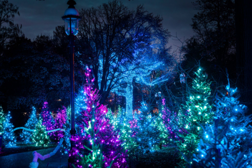 A nighttime scene of colorful, illuminated trees in shades of blue, purple, and pink, creating a festive atmosphere.