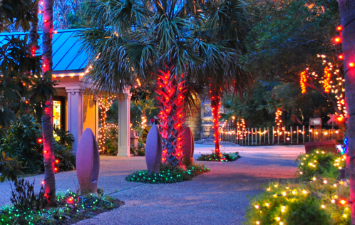 A pathway lined with colorful holiday lights and palm trees, creating a festive atmosphere in the evening.