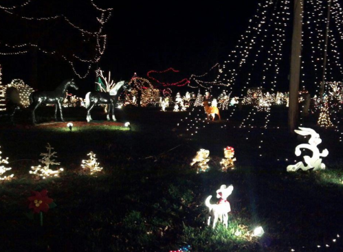 A festive display of holiday lights featuring decorated trees, animals, and various illuminated figures in a dark setting.