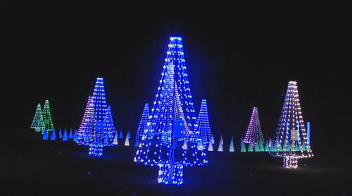 Colorful illuminated Christmas trees in various shades of blue, green, and white against a dark night sky.