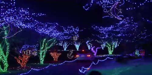 A colorful display of holiday lights illuminating trees and pathways in a festive nighttime scene.