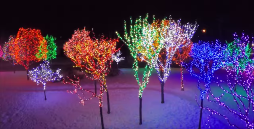 Colorful illuminated trees in a snowy landscape, glowing with vibrant holiday lights at night.