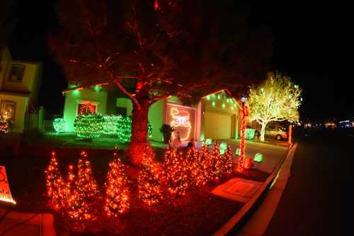 A house decorated with colorful Christmas lights, featuring glowing trees and festive displays at night.