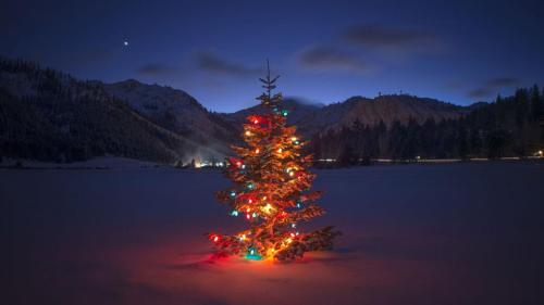 A brightly lit Christmas tree stands in a snowy landscape, surrounded by mountains under a twilight sky.