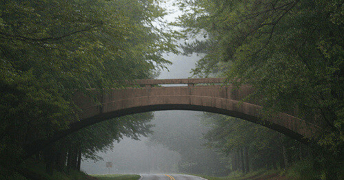 A foggy scene featuring a road leading under a stone bridge, surrounded by lush green trees.