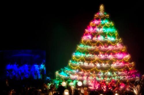 A brightly lit Christmas tree adorned with colorful lights, surrounded by festive decorations and a crowd in the background.