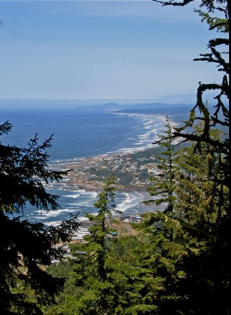 A coastal view from a forested area, showcasing waves crashing on the shore and a distant sandy beach under a clear sky.