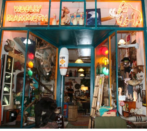 A quirky shop entrance filled with eclectic items, including taxidermy, lamps, and a neon sign reading "Woolly Mammoth."