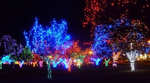 Colorful trees adorned with vibrant holiday lights illuminate a dark night sky in a festive park setting.