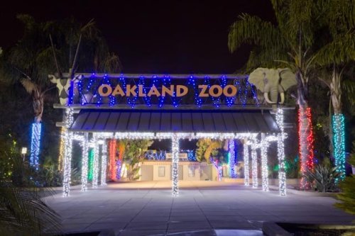 Entrance to Oakland Zoo adorned with colorful holiday lights and decorations at night.