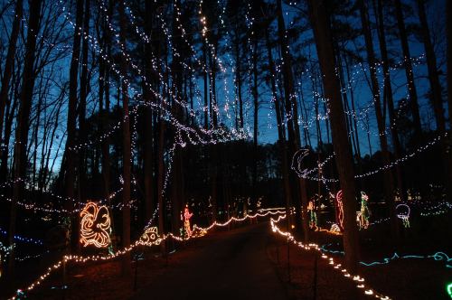 A forest path illuminated by colorful holiday lights, with trees and festive decorations against a twilight sky.