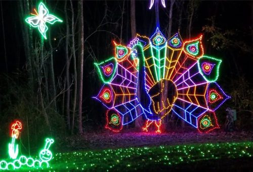 A colorful peacock made of lights stands in a forest, surrounded by glowing flowers and caterpillars.