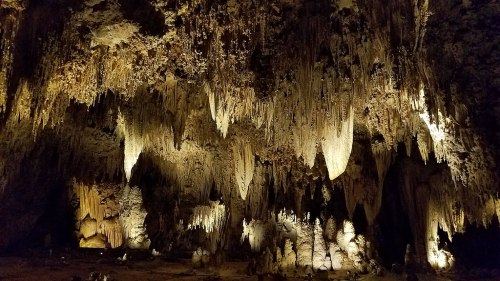 Stalactites and stalagmites in a dimly lit cave, showcasing intricate rock formations and textures.