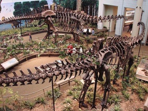 Fossilized dinosaur skeletons displayed in a museum, surrounded by greenery and educational exhibits.
