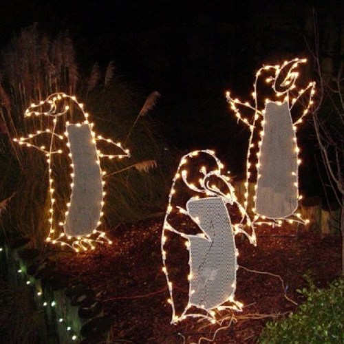 Three illuminated penguin decorations in a garden, surrounded by tall grass at night.