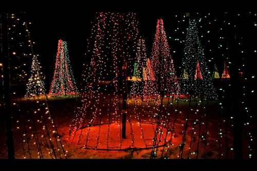 Colorful holiday lights illuminate trees in a festive display at night, creating a magical winter atmosphere.