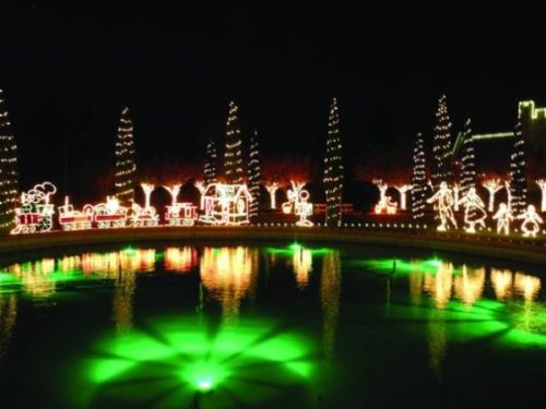 Colorful holiday lights illuminate trees and a pond, creating a festive scene at night.